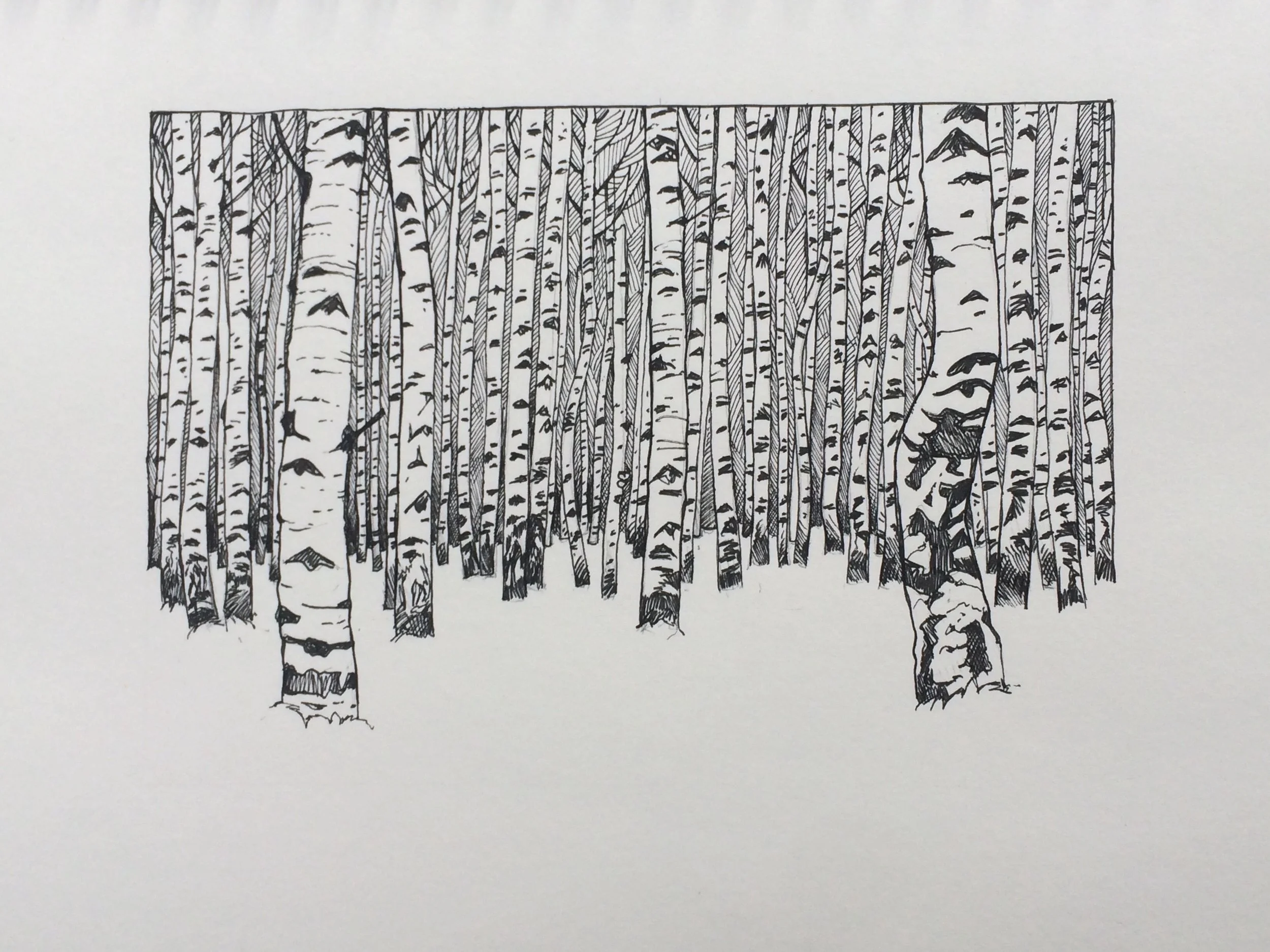 Sketches — KoraxARTstudio